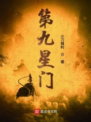第九特区小说